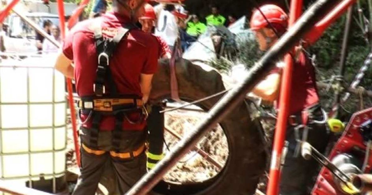 Video News 22/07/2015