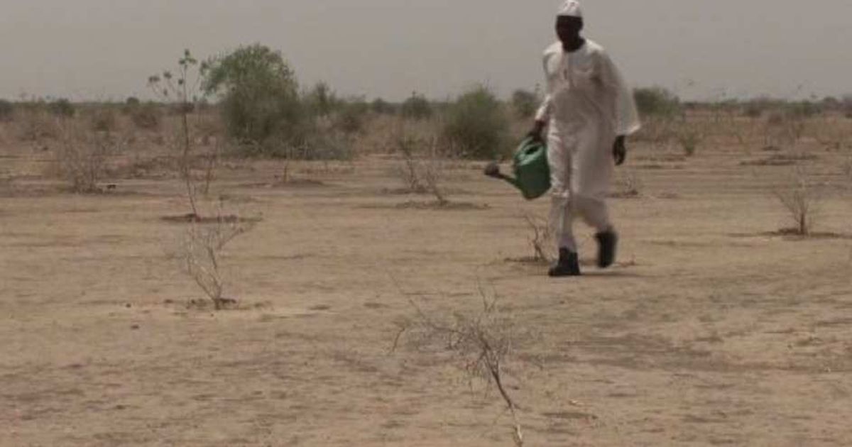 Video News 22/07/2015