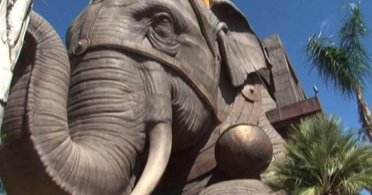 Video News 23/07/2015