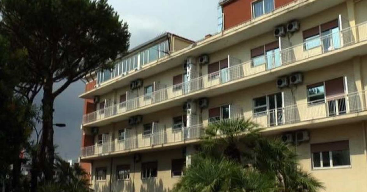 Video News 24/07/2015