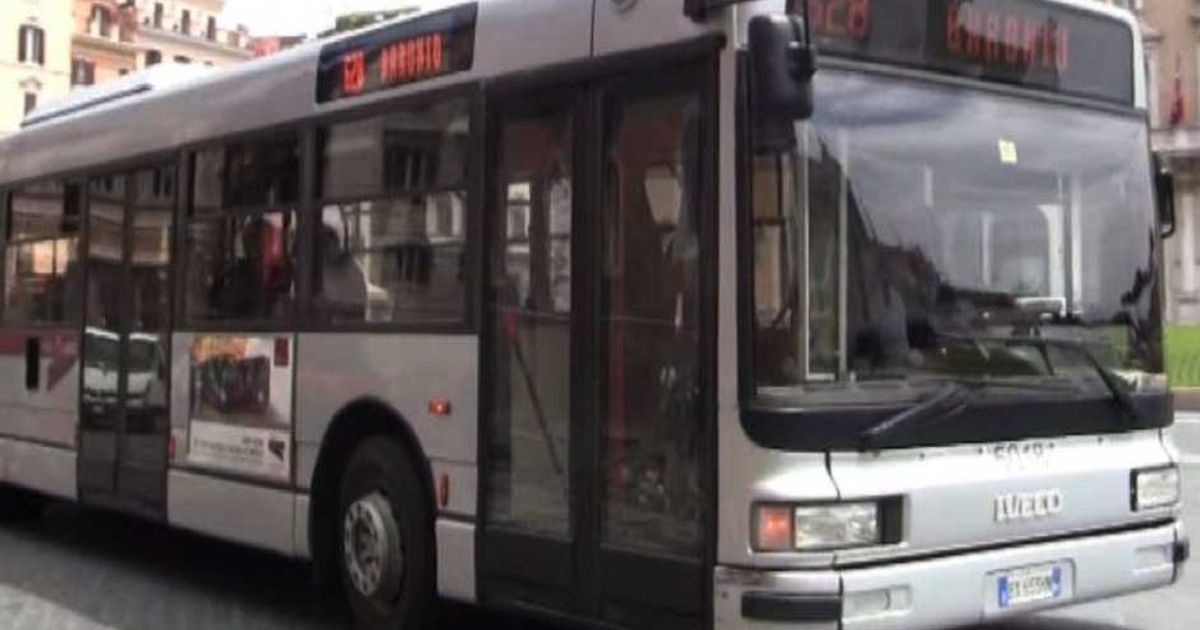 Video News 24/07/2015