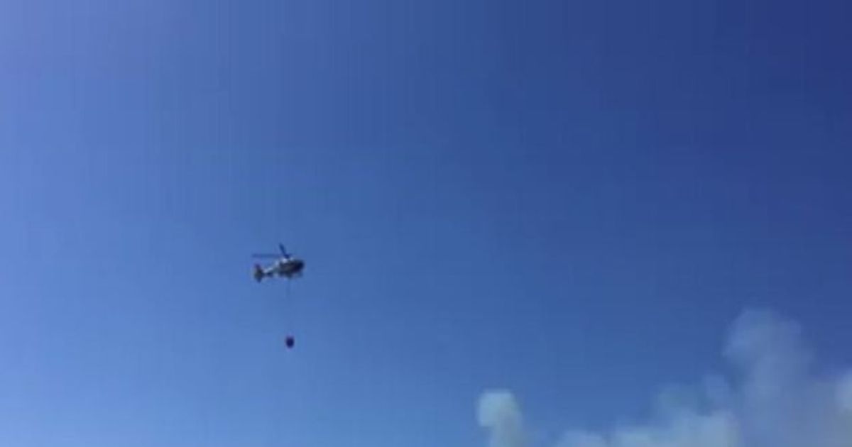 Video News 29/07/2015