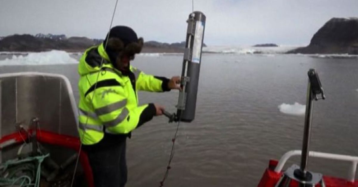 Video News 30/07/2015