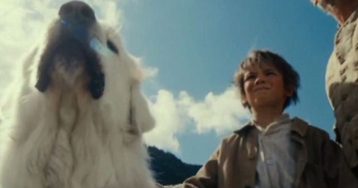 Video News 30/07/2015