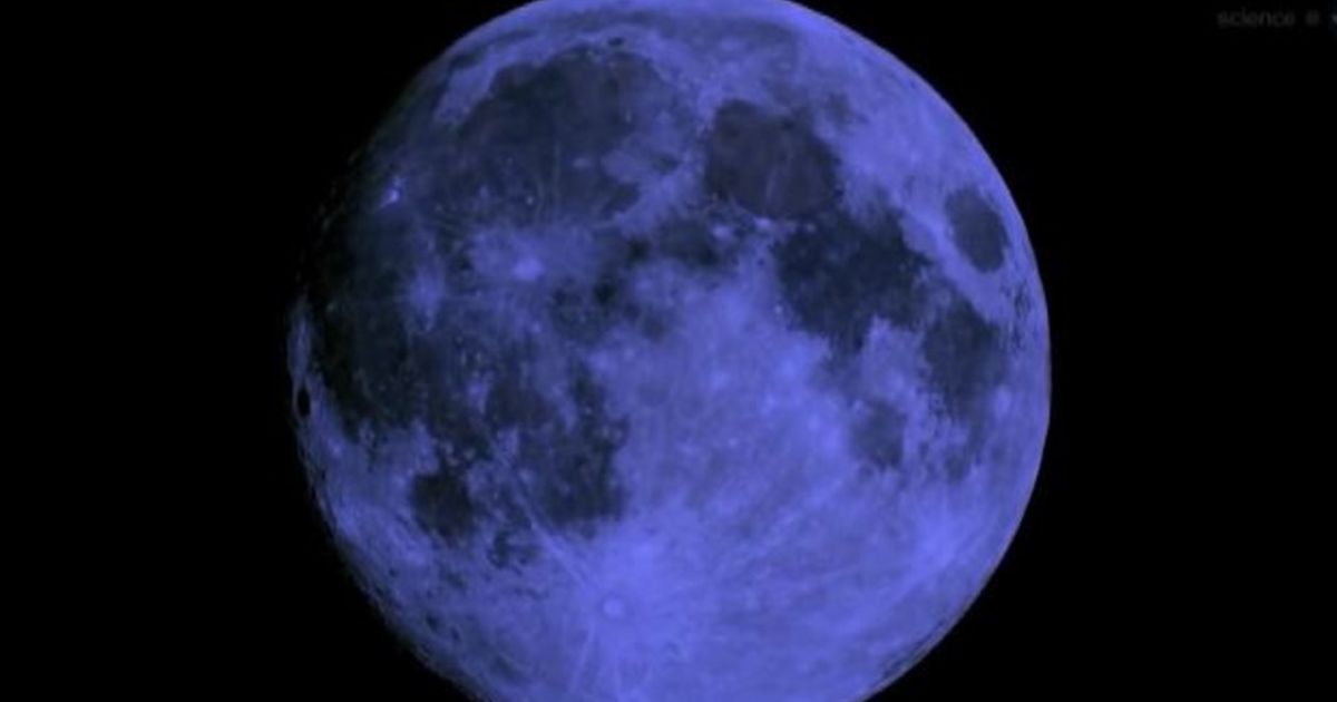 Video News 31/07/2015