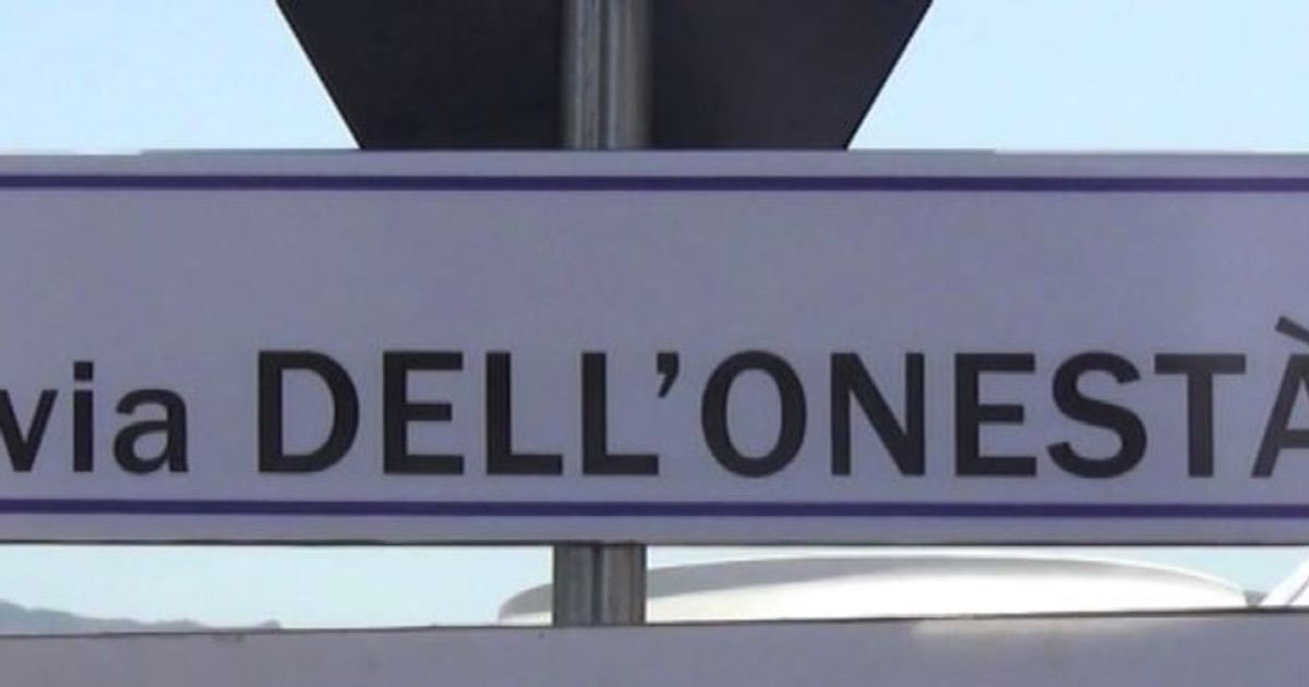 Video News 31/07/2015