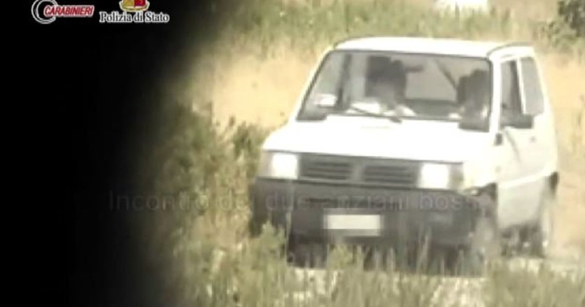 Video News 03/08/2015