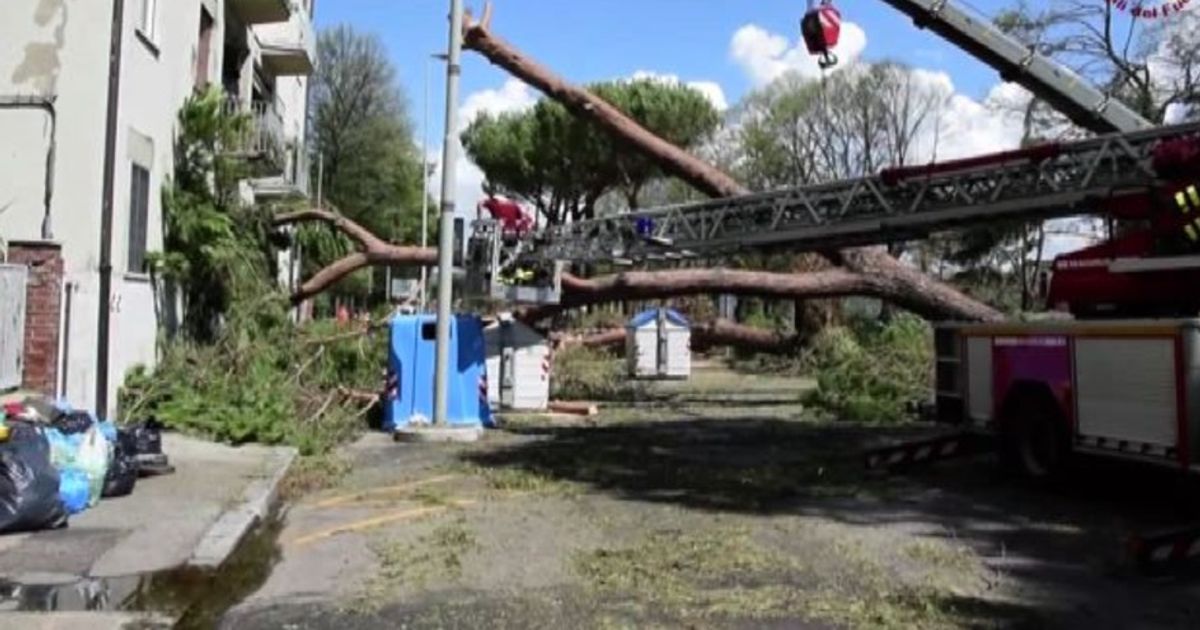 Video News 03/08/2015