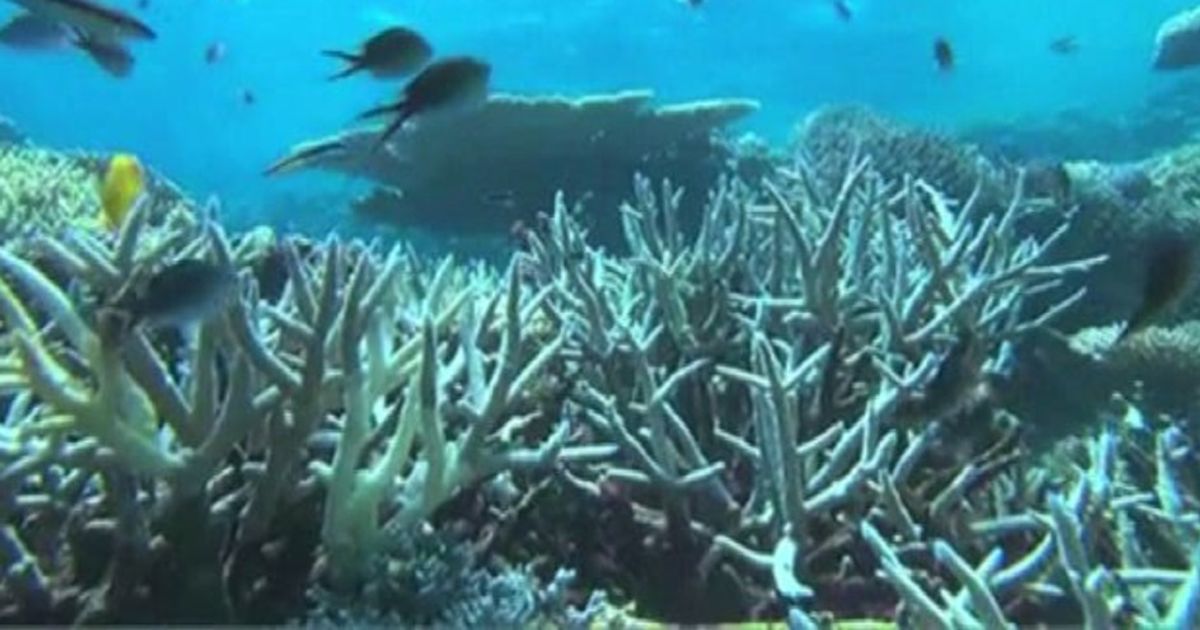 Video News 05/08/2015