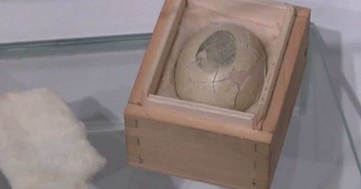 Video News 05/08/2015