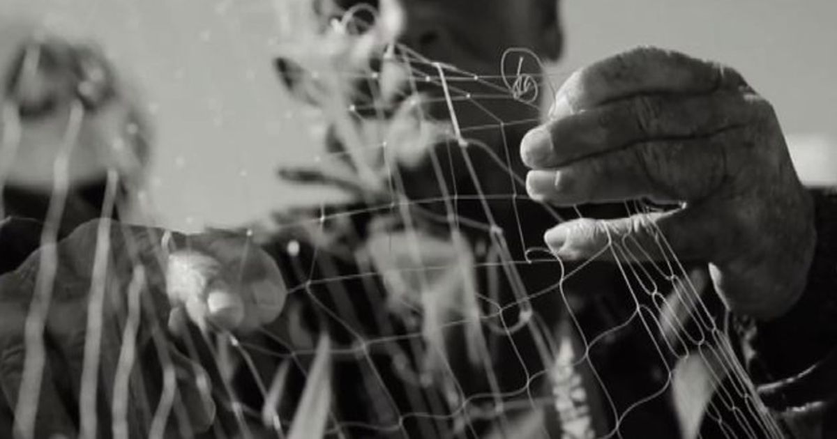 Video News 07/08/2015