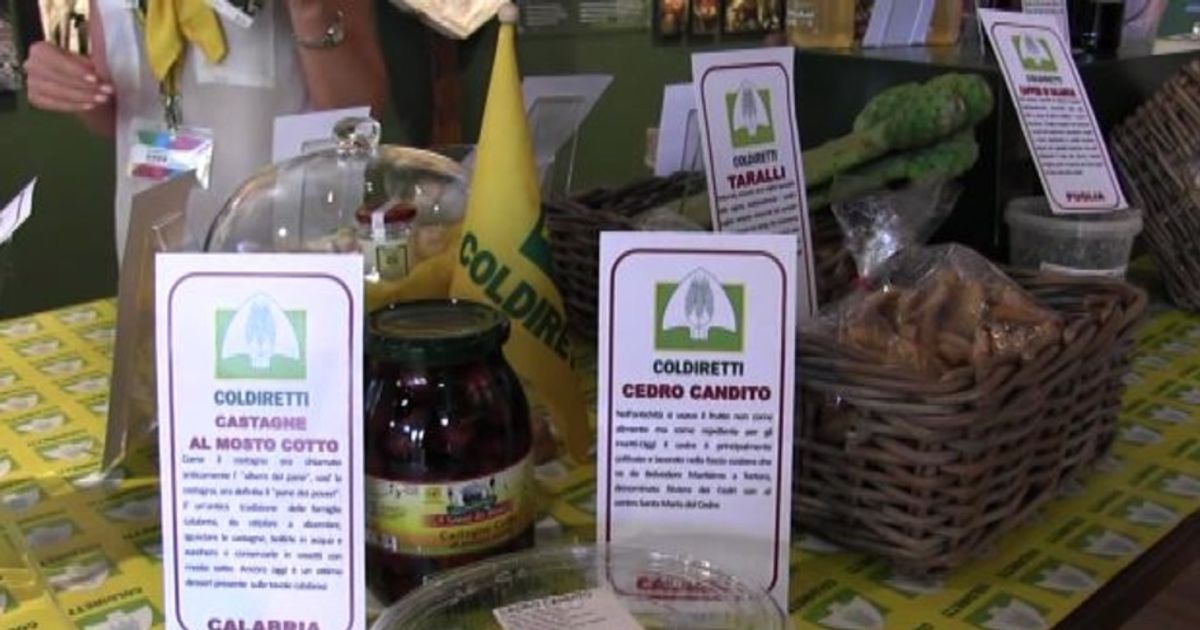 Video News 10/08/2015