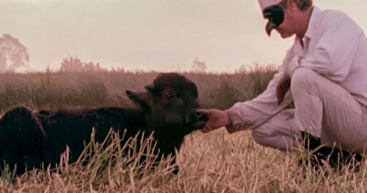 Video News 10/08/2015