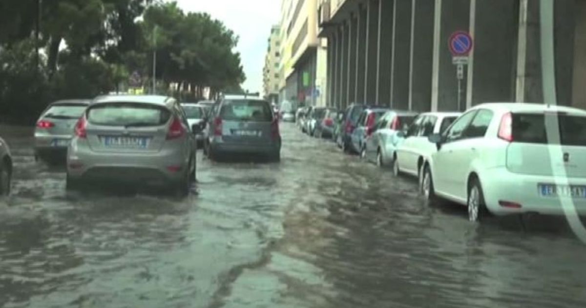 Video News 11/08/2015