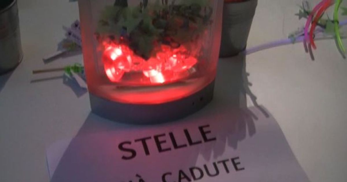 Video News 11/08/2015