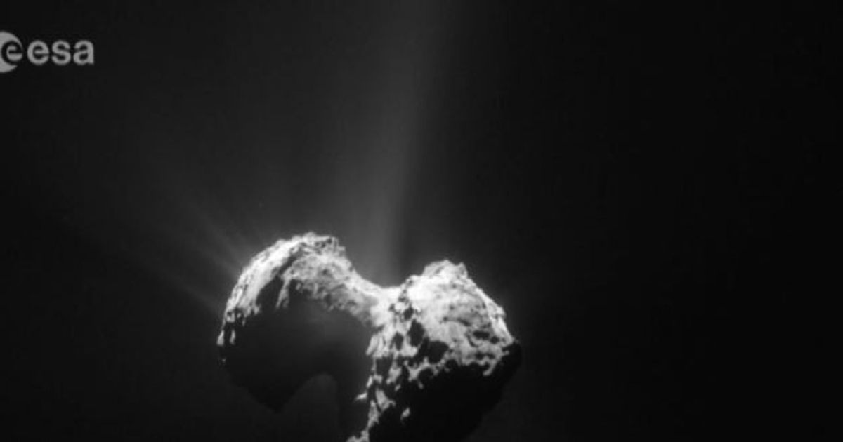 Video News 12/08/2015