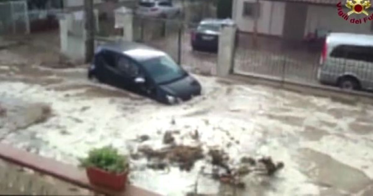 Video News 12/08/2015