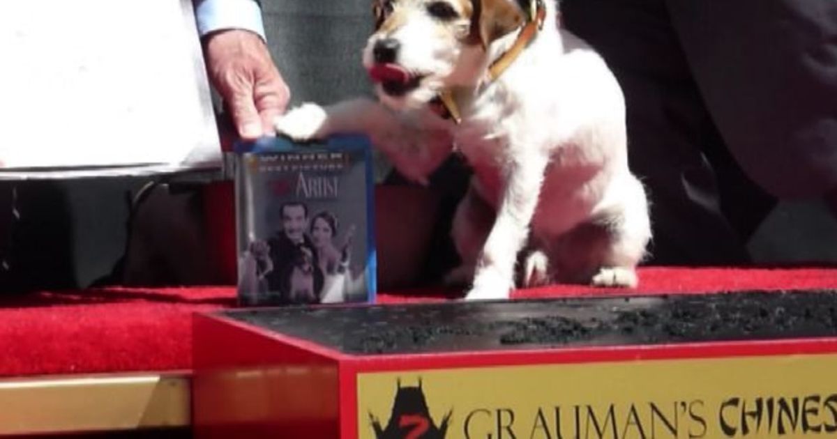 Video News 12/08/2015