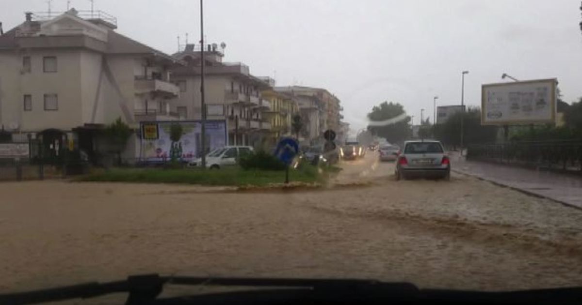 Video News 12/08/2015