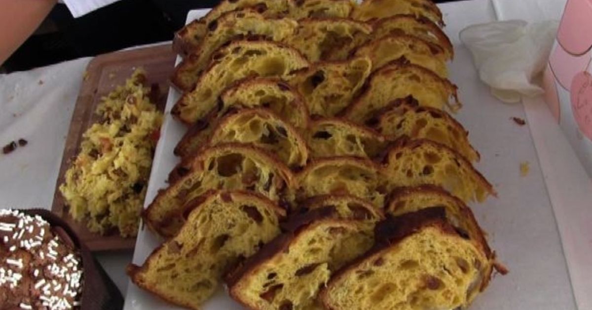 Video News 12/08/2015