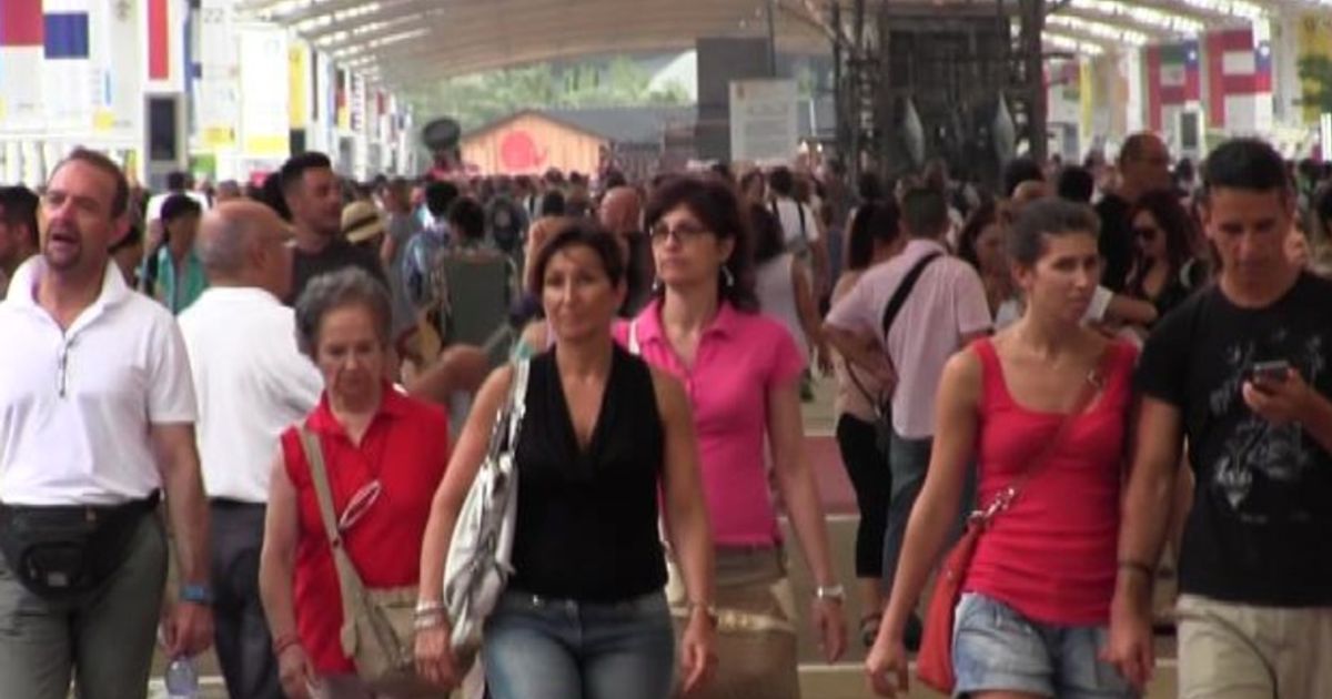 Video News 17/08/2015