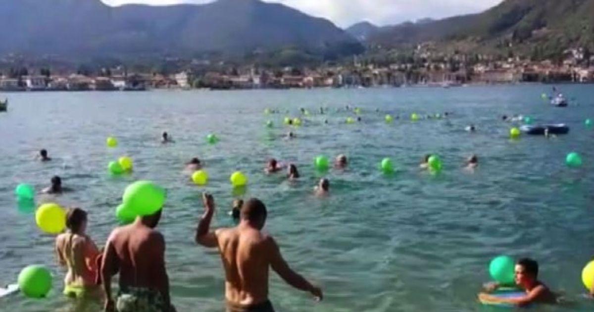 Video News 18/08/2015