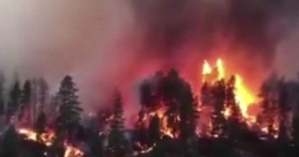 Video News 19/08/2015