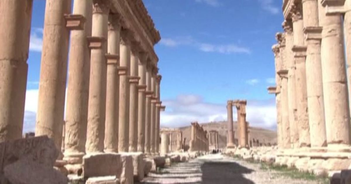 Video News 19/08/2015