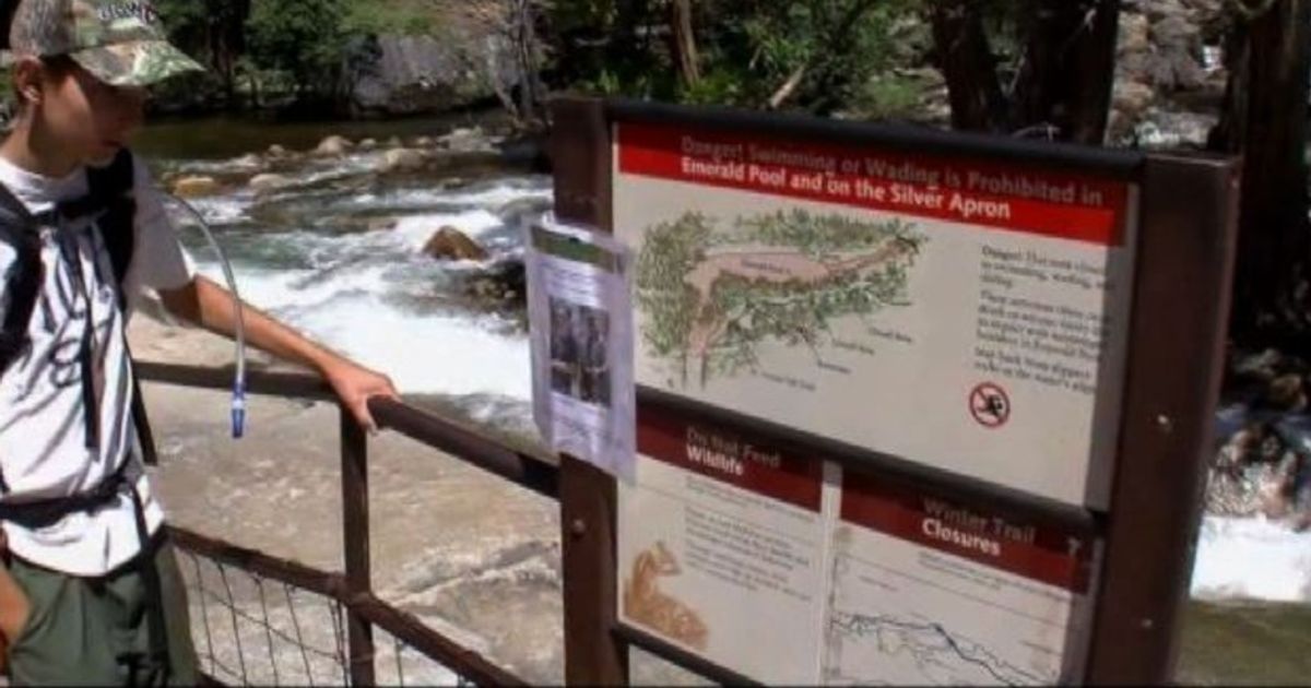 Video News 20/08/2015