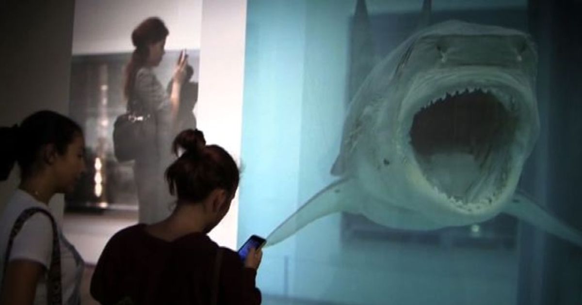 Video News 22/08/2015