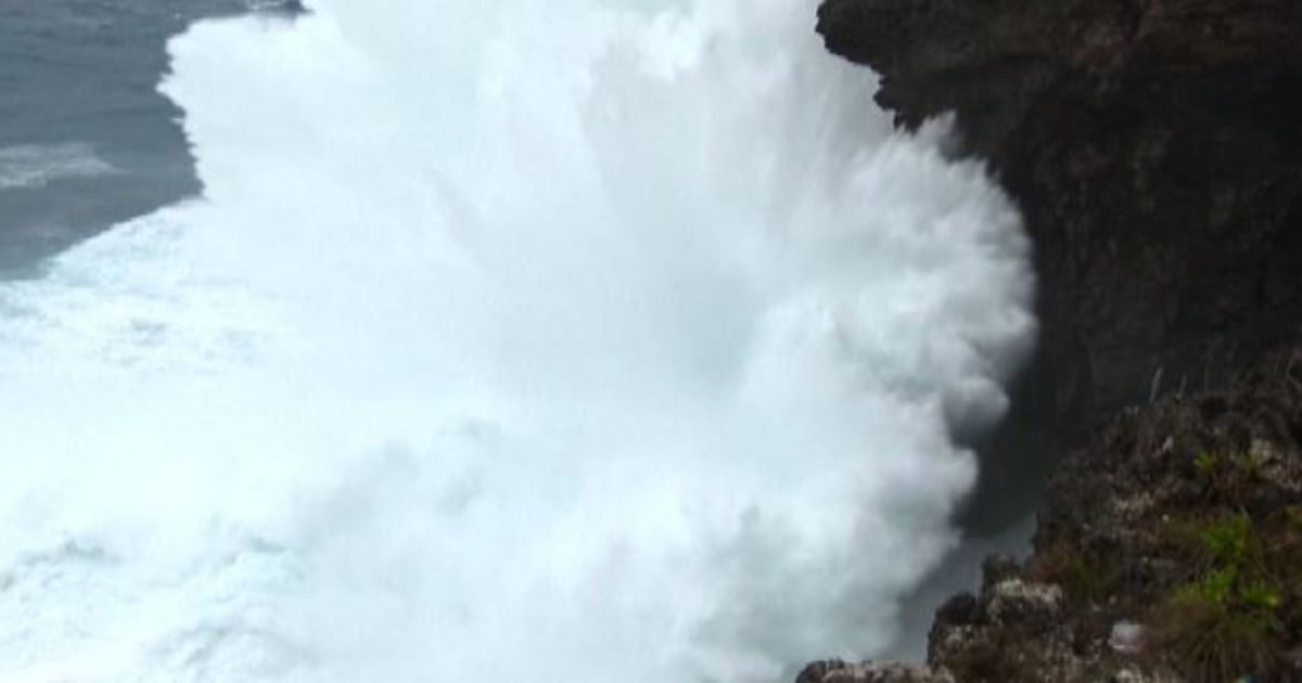 Video News 24/08/2015