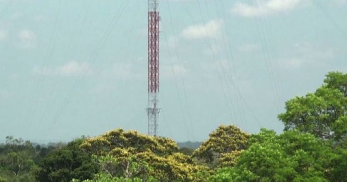 Video News 24/08/2015