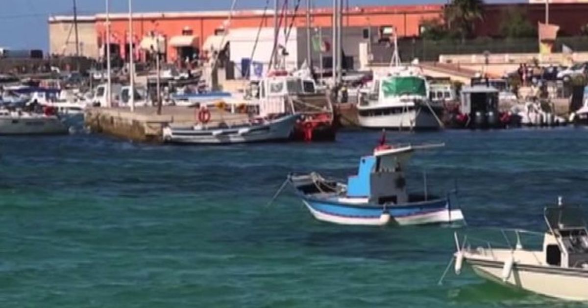 Video News 24/08/2015