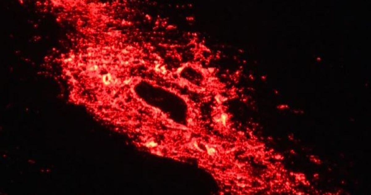 Video News 25/08/2015