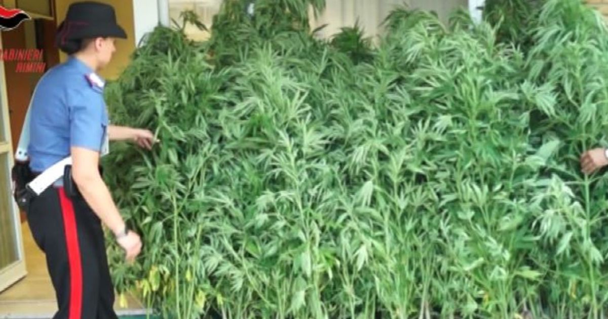 Video News 26/08/2015