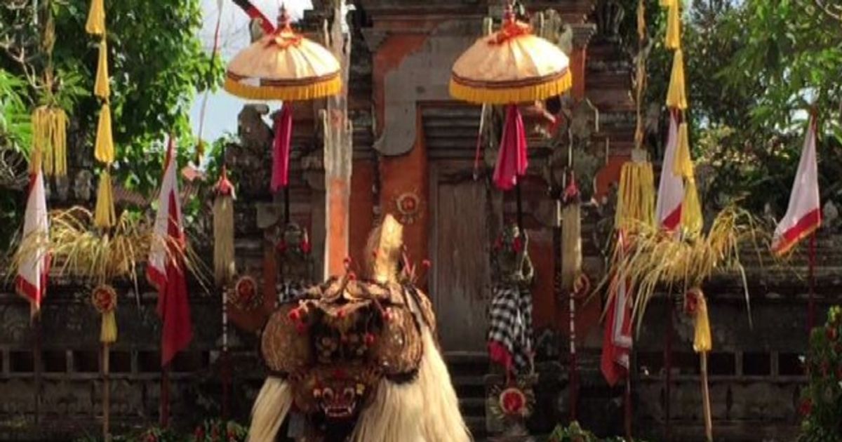 Video News 26/08/2015