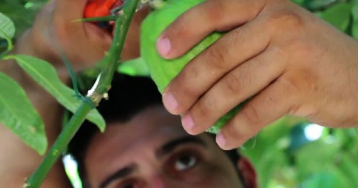 Video News 27/08/2015