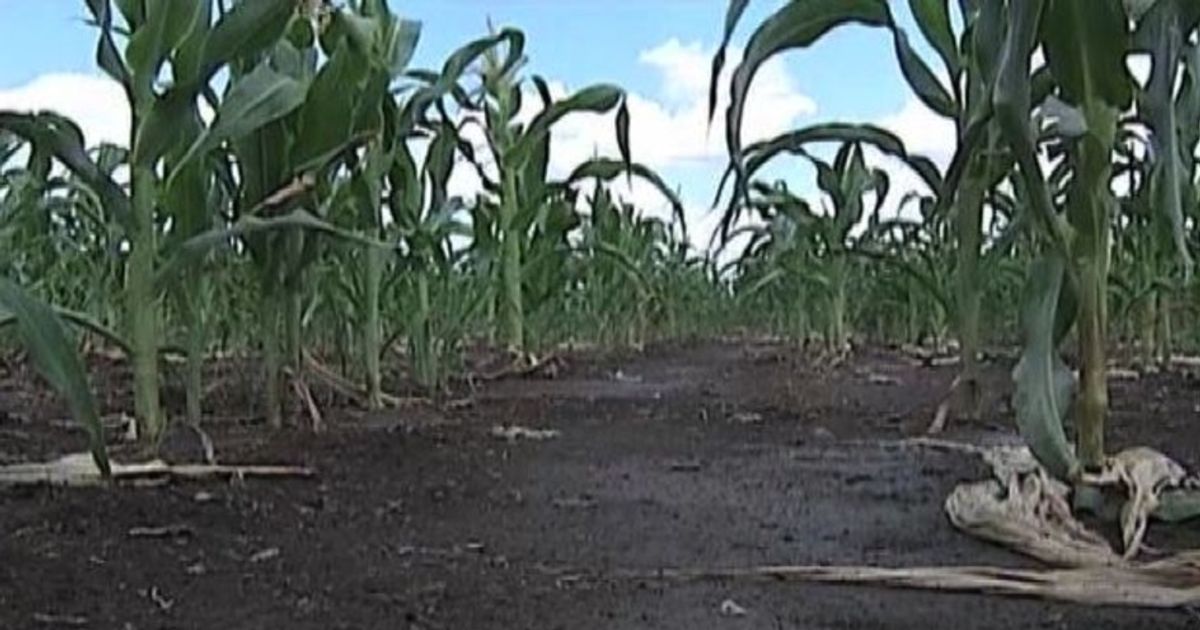 Video News 27/08/2015