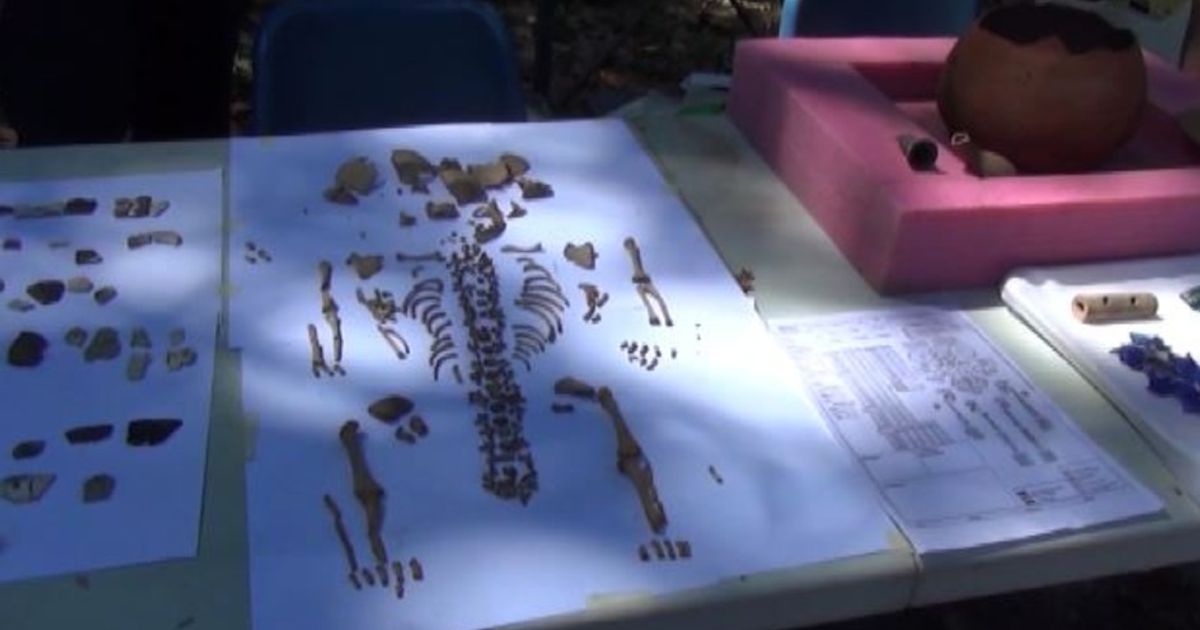 Video News 27/08/2015