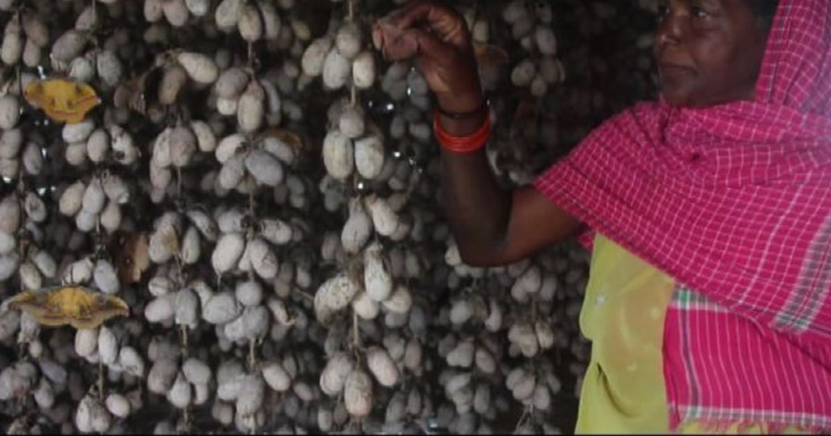 Video News 31/08/2015