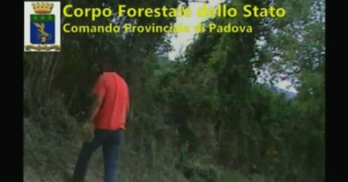 Video News 01/09/2015