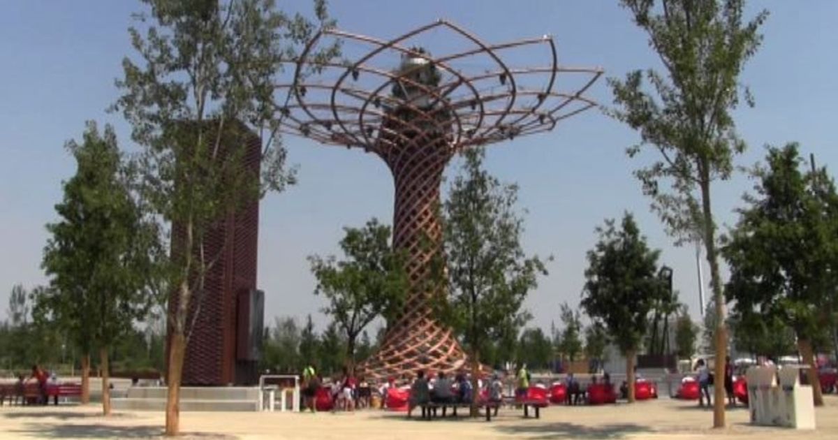 Video News 02/09/2015