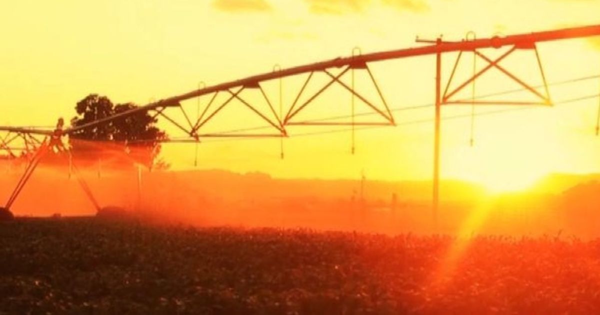 Video News 02/09/2015