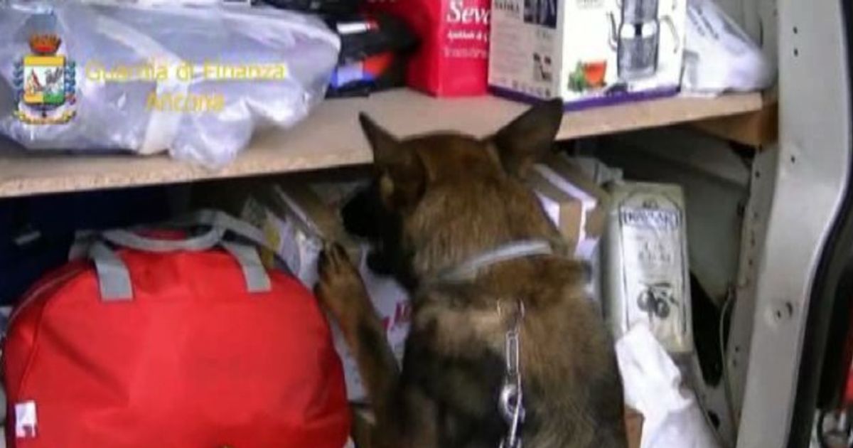 Video News 07/09/2015