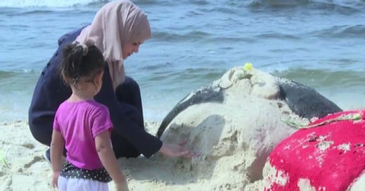 Video News 07/09/2015