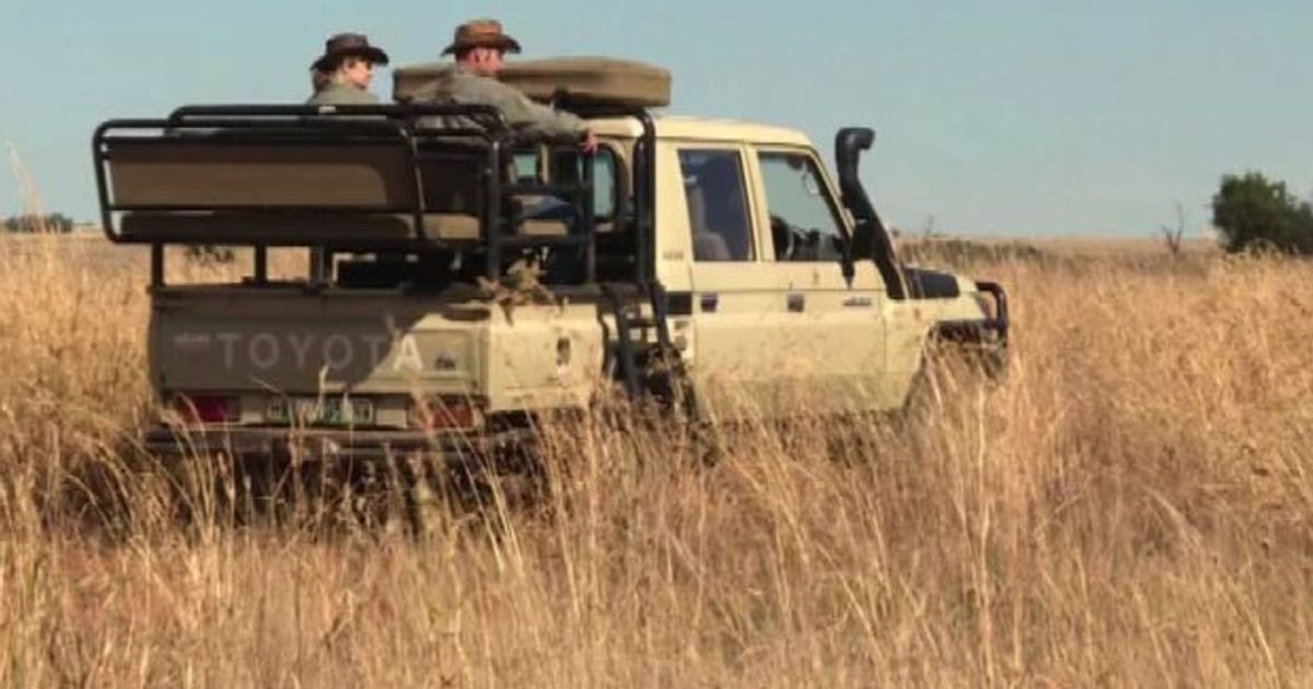 Video News 08/09/2015