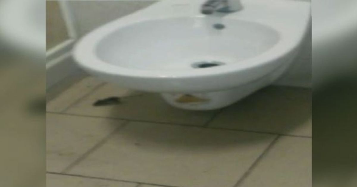 Video News 08/09/2015