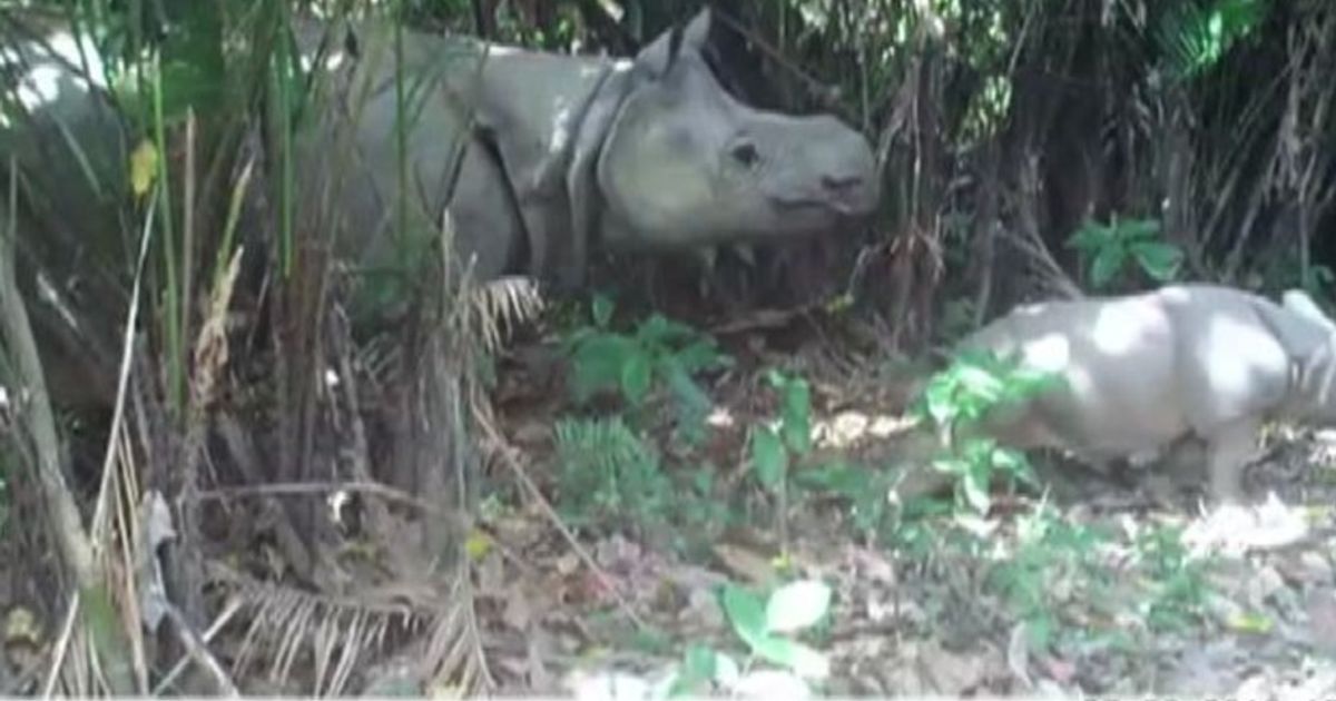 Video News 09/09/2015