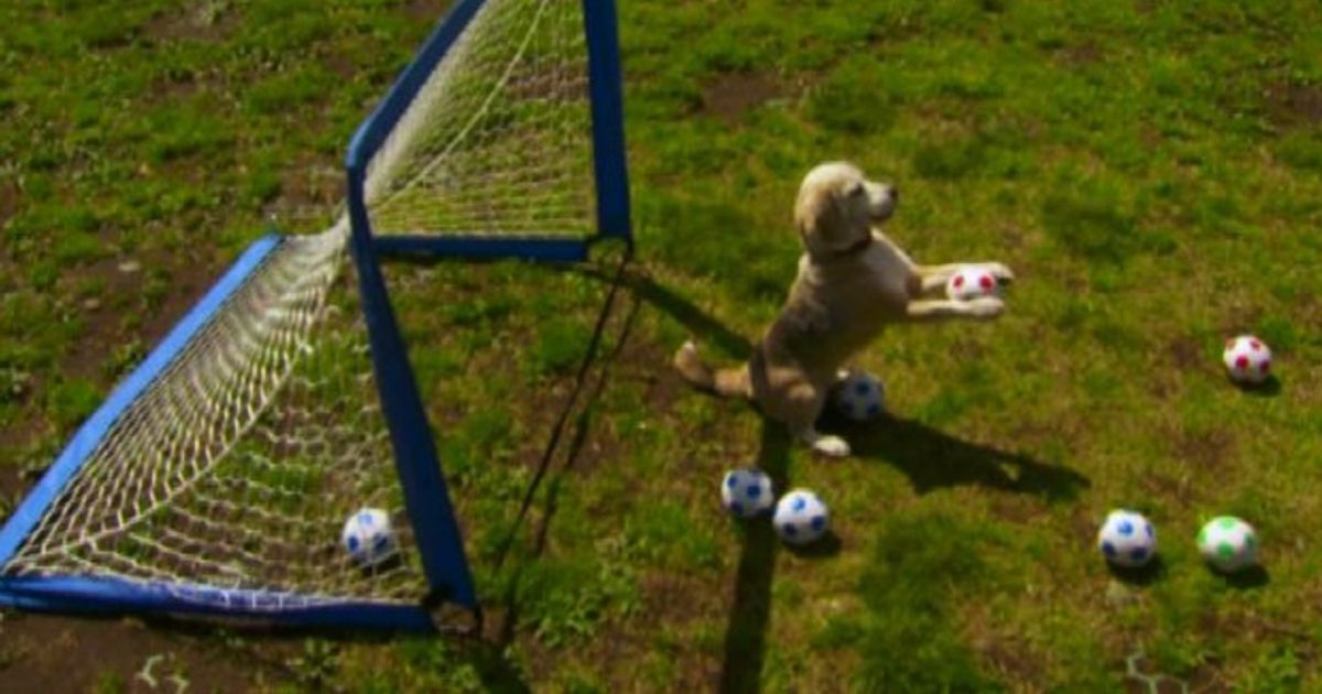 Video News 10/09/2015