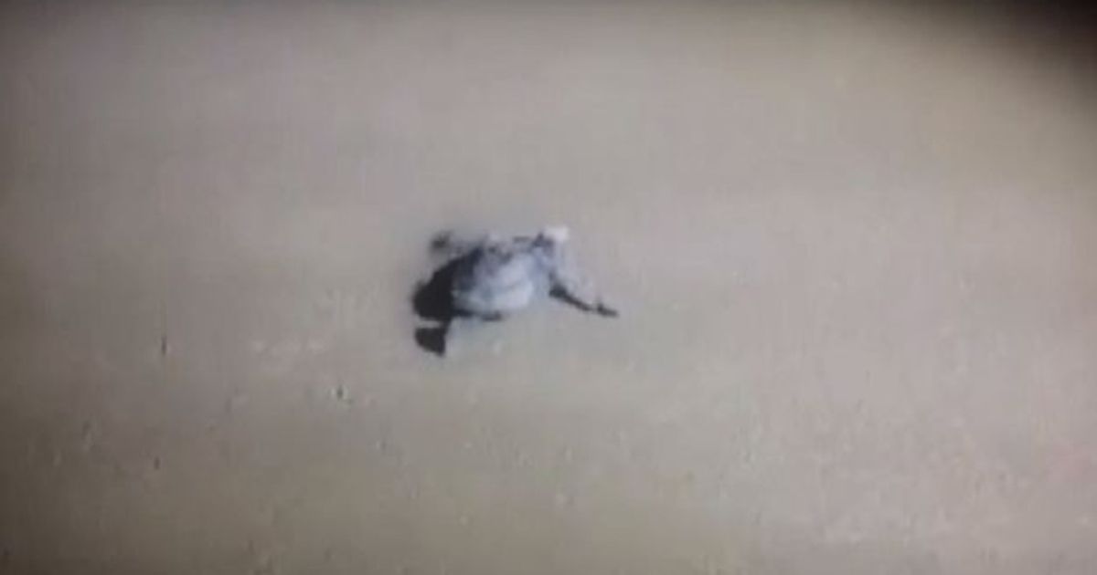 Video News 11/09/2015